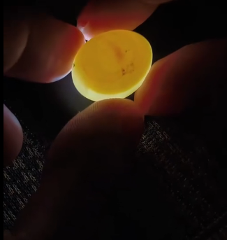 B0104006 The parrot mother laid an egg in my hand, and I decided to incubate it❤️ ( Part 2)
