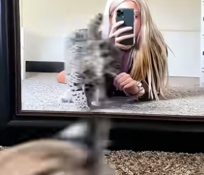 B1304003_dog has seizures but his sister helps calm him down ( PART 2)