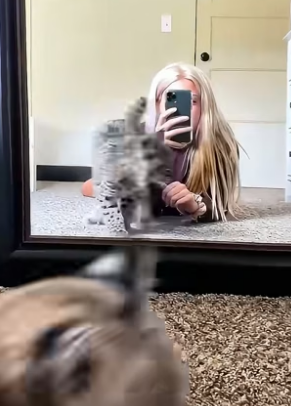 B1304003_dog has seizures but his sister helps calm him down ( PART 2)