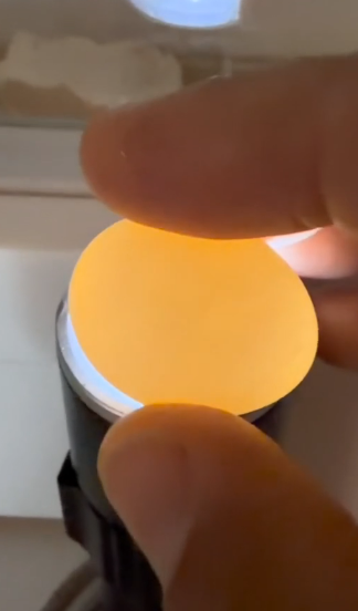 T0304001 I saw the parrot egg My parrot laid an egg in my hand I saved the egg and then this happened ( Part 2)
