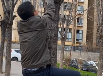 T0304003 i found a cute friendly parrot in the street I decided to adopt it and then this happened ( Part 2)