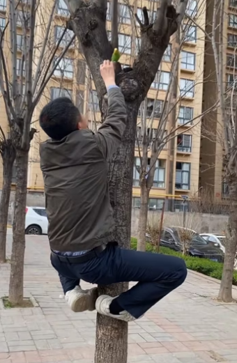 T0304003 i found a cute friendly parrot in the street I decided to adopt it and then this happened ( Part 2)