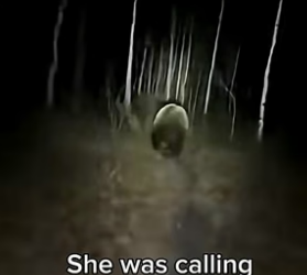 S1504005_mother bear knocked on my door in spring ( PART 2)