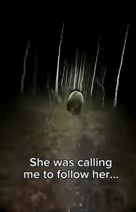 S1504005_mother bear knocked on my door in spring ( PART 2)