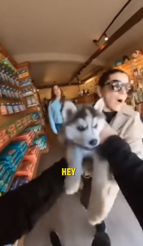 T1604001_Husky Mother Was Crying Couldn Ignore It ( PART 2)