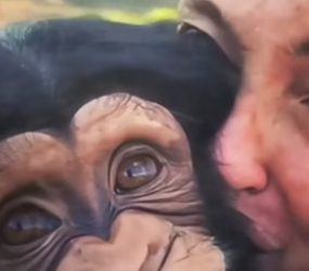 B1904005_When animals love you ❤️ P5 #shorts #animals_part2