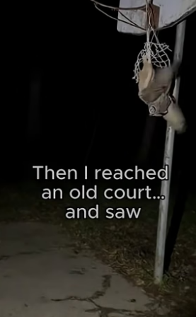 T1804004_The Male Owl Asked Him for Help ❤️ ( PART 2)
