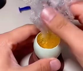 B3004002_The woman saved a broken duck egg and then ��� PART 2