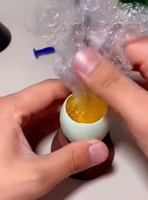 B3004002_The woman saved a broken duck egg and then ��� PART 2