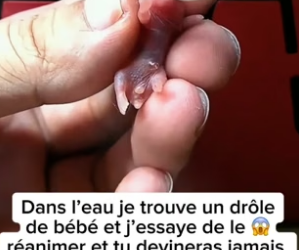 P1605005_Dans l’eau je trouve un drôle de bébé et j’essaye de le � réanimer et tu devineras jamais  ce que PART 2