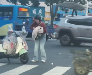 D1505017_A kind woman rescued an injured stray calico cat on the street, and then…PART 2