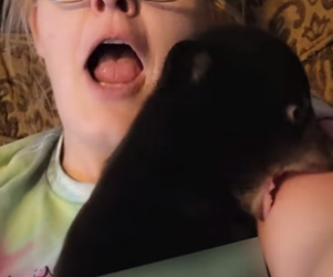 D1505011_A kind woman rescued an abandoned black bear cub, and then this happened…PART 2
