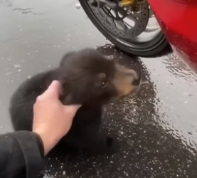 S1405014_I pulled over for a moment, then something rushed straight to me…��❤️‍� PART 2