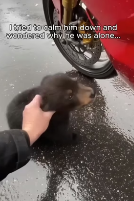 S1405014_I pulled over for a moment, then something rushed straight to me…��❤️‍� PART 2