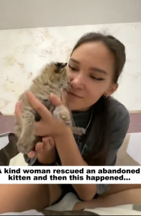 D1505022_A kind woman rescued an abandoned kitten, and then this happened…PART 2