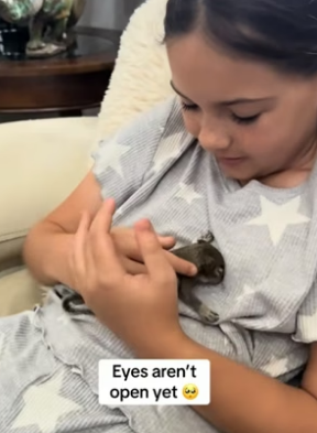 B1905012_Man found a baby squirrel in car engine and adopted it PART 2