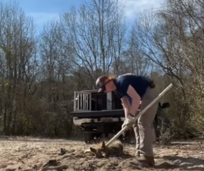 B3004003_Man rescued a trapped coyote and adopted it with love PART 2