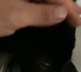 B3004008_My husband rescued a weak black leopard cub and we adopted it PART 2