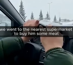 S1705017_I Dragged A 100lb Lion Out Of A Frozen Lake PART 2