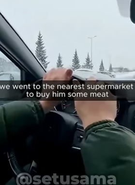 S1705017_I Dragged A 100lb Lion Out Of A Frozen Lake PART 2