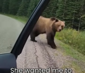 S2005019_I rescue This Bear Cub From A Trap PART 2