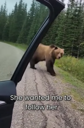 S2005019_I rescue This Bear Cub From A Trap PART 2