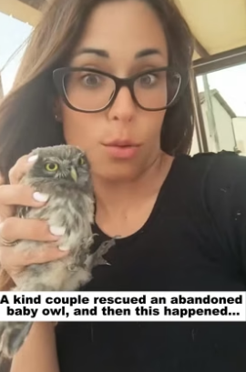 N2105008_A kindhearted couple rescued an abandoned baby owl, and then this happened…PART 2
