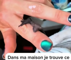 P2305003_Je découvre cette drôle de chose dans ma cuisine et je l’adopte �❤️PART 2