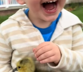 B2305006_My dog found a baby goose and we decided to adopted it PART 2