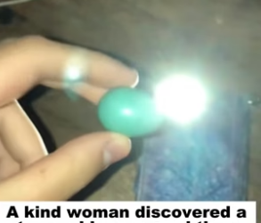 D2305010_A kind woman discovered a strange blue egg and then… PART 2