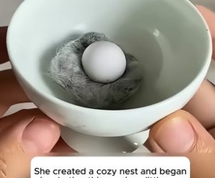 B2305024_This woman found a strange egg floating in a pond and hatched it until…_Part2