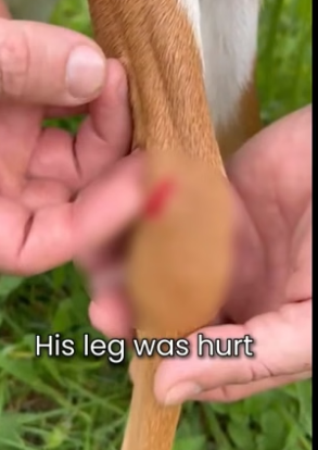 S2505010_He Was Crying Real Tears � PART 2