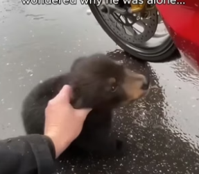 C2805005_I pulled over for a moment, then something rushed straight to me…��❤️‍� PART 2