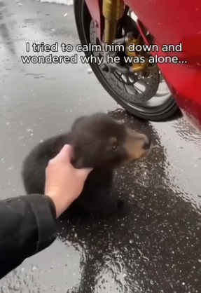 C2805005_I pulled over for a moment, then something rushed straight to me…��❤️‍� PART 2