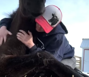 T2705030_Foal Who Wasn’t Supposed To Exist Wants To Hug Everyone PART 2