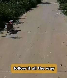 S2605005_PART 2