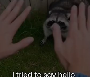 S2505005_He was Rejected because Of His Teeths