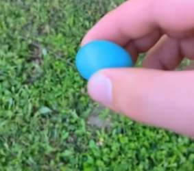 D2705015_A kind woman discovered a strange blue egg and then… PART 2
