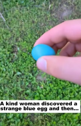 D2705015_A kind woman discovered a strange blue egg and then… PART 2