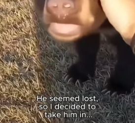 C2805008_I was taking out the trash then I saw this…� PART 2
