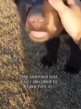 C2805008_I was taking out the trash then I saw this…� PART 2