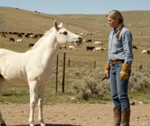B2705009_Rescue mother horse from giant python attack �  PART 2