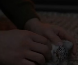 R2804012_She Brought Her Frozen Baby To His Door For Help � PART 2
