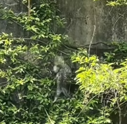 S2804007_PART 2