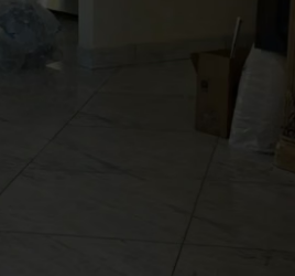 T3004011_I foumf a stray kitten and adopted it PART 2