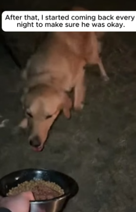 R3004013_He Saved the Tied Up Dog And He Never Looked Back ❤️PART 2