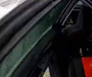 S0205002_I found a Cat Stuck in a parking lot �PART 2