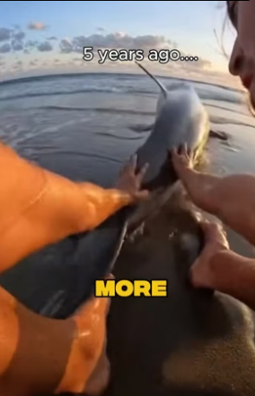 S0205001_A shark nearly ate me…� PART 2