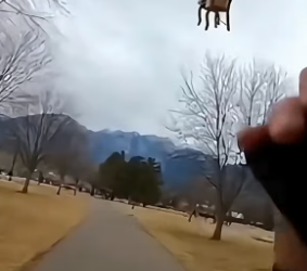 S0205011_My daughter accidentally sent our golden retriever into the sky – Rescue Mission_part2