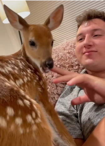 B0205008_Men rescued a baby deer stuck in sewer and gave it a wonderful home PART 2